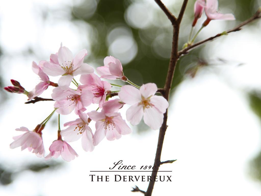 The Devereux Boutique Hotel Auckland Kültér fotó